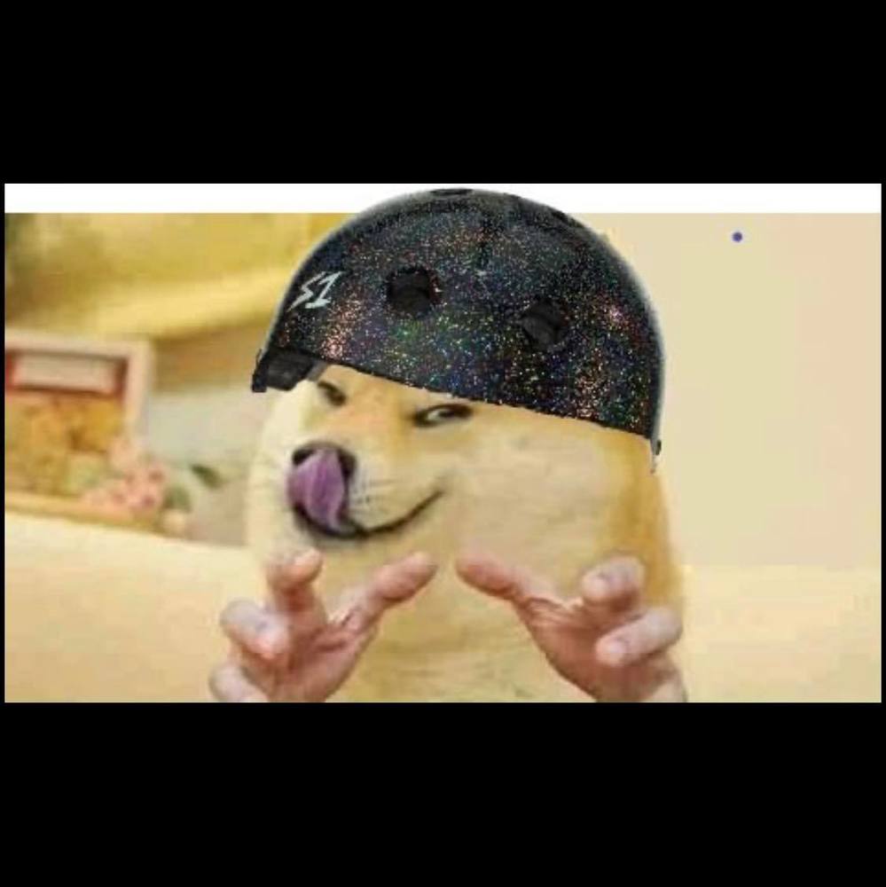 Meet your Posher, Nicholas